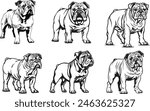 bulldog clipart, bulldog clipart, bulldog black vector