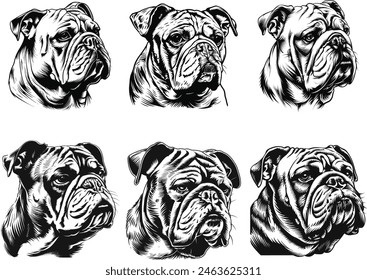 bulldog clipart, bulldog clipart, bulldog black vector