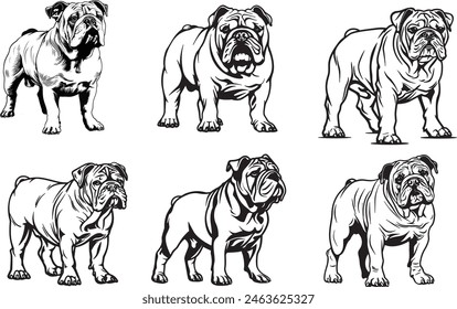 bulldog clipart, bulldog clipart, bulldog black vector