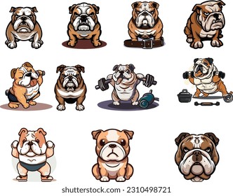 escalón de bulldog. Perro de toro inglés Diferentes poses set, Ilustración vectorial, Diferentes colores posescoat. Perrito beagle, lindo vector de perro. ilustración de perro 