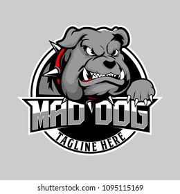 bulldog with collar spike cartoon vector logo template