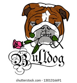 bulldog cute design