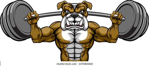 A bulldog dog animal body builder sports mascot weight lifting a barbell 