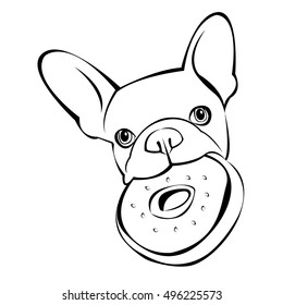 bulldog, dog, animal, french, vector, illustration, pet, breed, cute, drawing, puppy