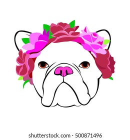 bulldog, dog, animal, french, vector, illustration, pet, breed, cute, drawing, puppy