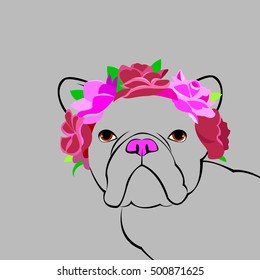 bulldog, dog, animal, french, vector, illustration, pet, breed, cute, drawing, puppy