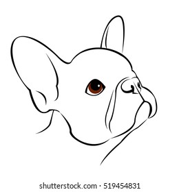 bulldog, dog, animal, french, vector, illustration, pet, breed, cute, drawing, puppy