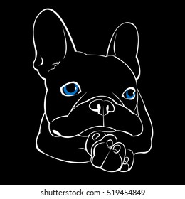bulldog, dog, animal, french, vector, illustration, pet, breed, cute, drawing, puppy