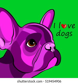 bulldog, dog, animal, french, vector, illustration, pet, breed, cute, drawing, puppy