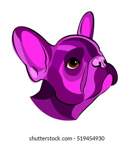 bulldog, dog, animal, french, vector, illustration, pet, breed, cute, drawing, puppy