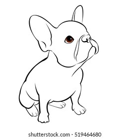 bulldog, dog, animal, french, vector, illustration, pet, breed, cute, drawing, puppy