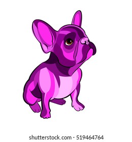 bulldog, dog, animal, french, vector, illustration, pet, breed, cute, drawing, puppy