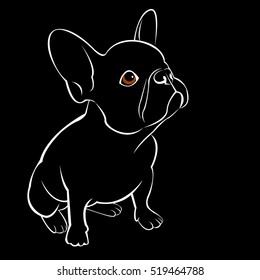 bulldog, dog, animal, french, vector, illustration, pet, breed, cute, drawing, puppy