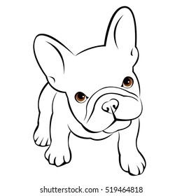 bulldog, dog, animal, french, vector, illustration, pet, breed, cute, drawing, puppy