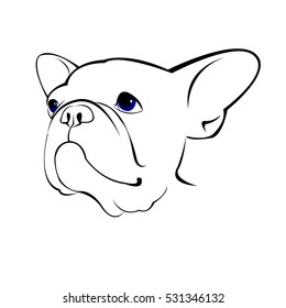 bulldog, dog, animal, french, vector, illustration, pet, breed, cute, drawing, puppy