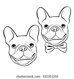 bulldog, dog, animal, french, vector, illustration, pet, breed, cute, drawing, puppy