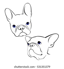 bulldog, dog, animal, french, vector, illustration, pet, breed, cute, drawing, puppy