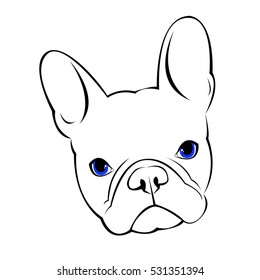 bulldog, dog, animal, french, vector, illustration, pet, breed, cute, drawing, puppy