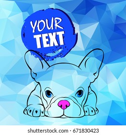 bulldog, dog, animal, french, vector, illustration, pet, breed, cute, drawing