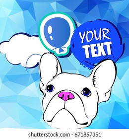 bulldog, dog, animal, french, vector, illustration, pet, breed, cute, drawing