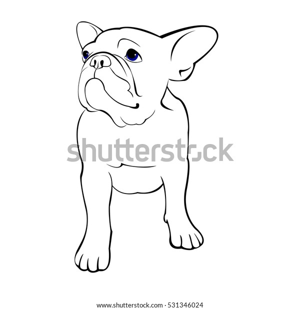 Bulldog Dog Animal French Vector Illustration Stock Vector (Royalty ...