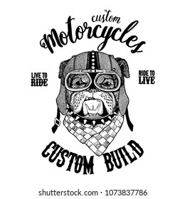 Bulldog, dog. Biker, motorcycle animal. Hand drawn image for tattoo, emblem, badge, logo, patch, t-shirt