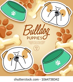 Bulldog : Dog Breed Collection : Vector Illustration