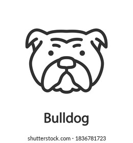 Bulldog, Dog breed, linear icon. Editable stroke