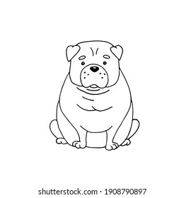 Bulldog dog breed. Pets. Vector hand-drawn doodle illustration. Black and white outline. Coloring