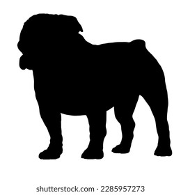 Bulldog Dog breeds. Silhouette. Vector