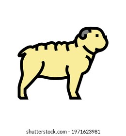 bulldog dog color icon vector. bulldog dog sign. isolated symbol illustration