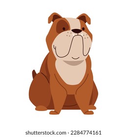 bulldog dog mascot domestic character