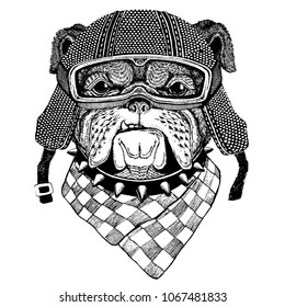 Bulldog, dog with motorcycle helmet. Vintage motorcycle headdress. Illustration for children, kindergarten kids. Print for children shirt, clothing, tattoo, emblem, badge, logo, patch, t-shirt