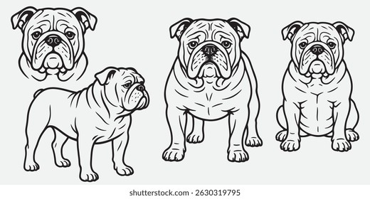 bulldog dog vector line art illustration with various poses standing, sitting, seen from the front and side, isolated on white background