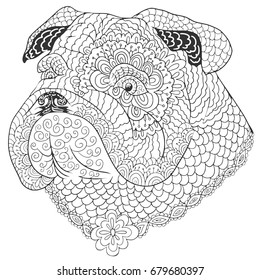 Bulldog doodle coloring book. Head of dog isolated on white background.. 