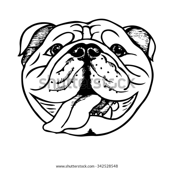 Bulldog Face Vector Illustration Stock Vector (Royalty Free) 342528548