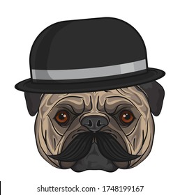 Bulldog face, wear a hat and mustache on white background, vector illustration, shirt design