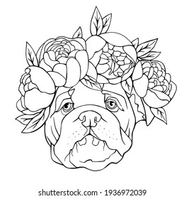 Bulldog with flowers on his head coloring book. Vector hand illustration.