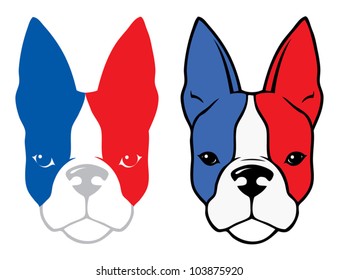 Bulldog with french flag colors - vector illustration