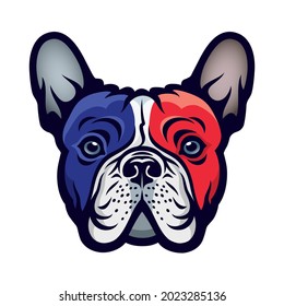 Bulldog with french flag colors - vector illustration