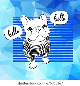 bulldog, french, vector, illustration, pet, breed, cute