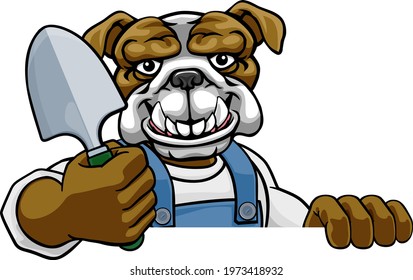 A bulldog gardener cartoon gardening animal mascot holding a garden spade tool peeking round a sign
