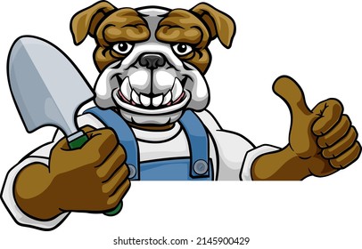 A bulldog gardener cartoon gardening animal mascot holding a garden spade tool peeking round a sign and giving a thumbs up