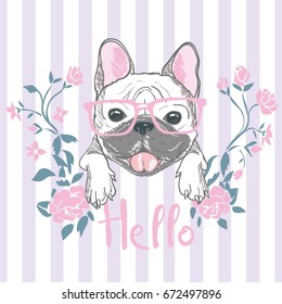 bulldog with glasses , sketch, vector illustration