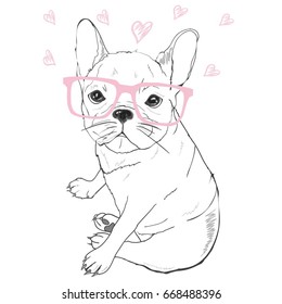 bulldog with glasses , vector, illustration
