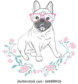 bulldog with glasses, vector illustration