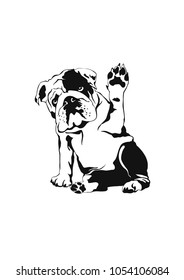 Bulldog graphic drawings