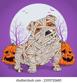 Bulldog zu Halloween verkleidet sitzend und voll eingewickelt in Mummy Leinen mit Kürbis auf seinen Seiten