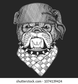 Bulldog Hand drawn vintage image for t-shirt, tattoo, emblem, badge, logo, patch