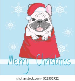 bulldog in hat  - vector illustration